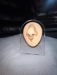 Star Girl Septum