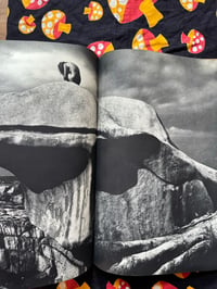 Image 3 of 28 Girls, Kishin Shinoyama, 1968.