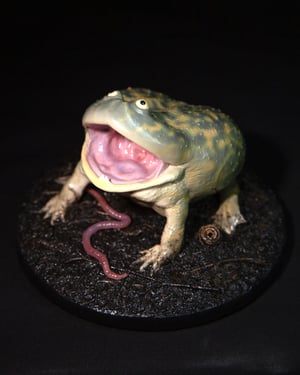 Budgett’s Frog Model II 