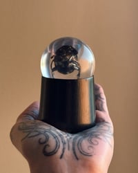 Image 5 of Resin Beetle Stand 2