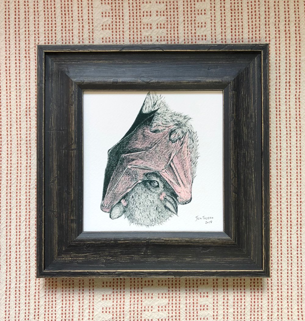 Image of Little Brown Bat