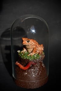 Image 2 of Toad Dome