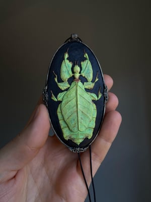 Leaf Insect Pendant 1