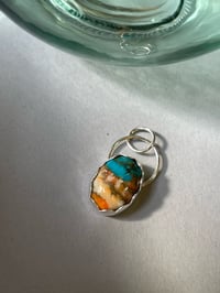 Image 1 of Oyster Turquoise 