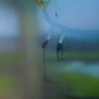 Image 4 of “The Cat” by Kat 8x10 Print