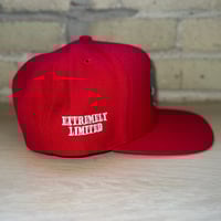 Image 2 of Abundance SnapBack cap