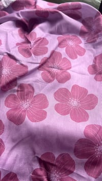 Image 1 of Orchid Nohu Pareo 