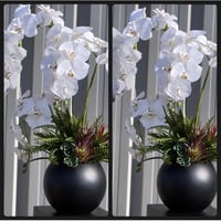 Image 1 of Lux grass matt black arrangement 