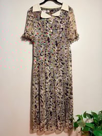 Image 1 of Midnight Garden