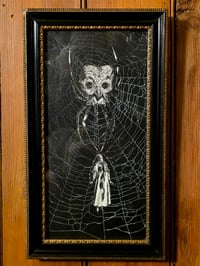 Image 1 of 1800s Gustave Dore Spiders - with real preserved webs -F