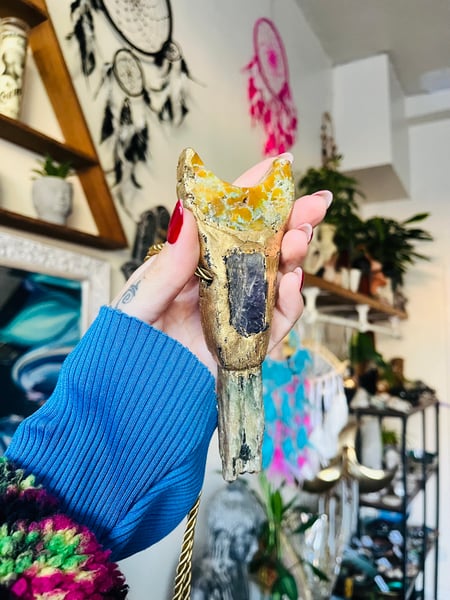 Image of Mermaid moon 