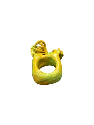 NUDIBRANCH 1