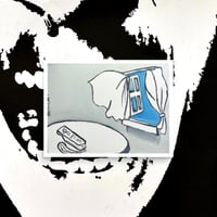 Wii Manual Poster Print