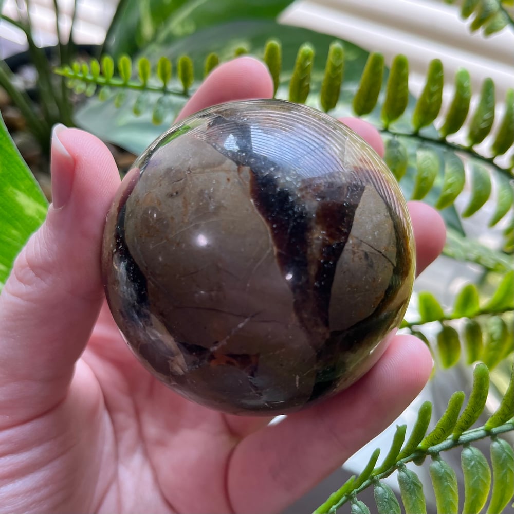 Septarian Sphere C