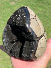 Image 10 of Septarian Nodule Polished Freeform | Madagascar #2897
