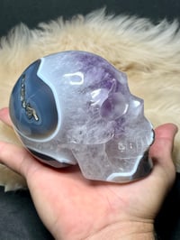 Image 12 of Amethyst & Agate Skull Carving #2241