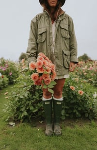 Image 4 of Dahlia Yelno Harmony // expédié sous 5 jours