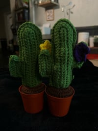 Image 1 of Cactus
