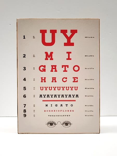 Image of Agudeza visual. Rosario Flores.