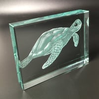 Image 1 of Turtle Glass Block