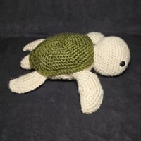 Image 2 of Small sea turtle 