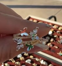 Butterfly’s flying ring 