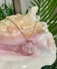Image 1 of Scallop Shell Necklace N173