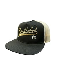 Established Swoosh SnapBack 