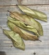 Sour Sop Leaves