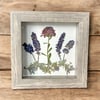 Plum Chrysanthemum, Veronica, Lavender And Catmint Wildflowers In 6" X 6" Shadow Box (Item# 202206S)