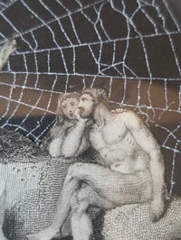 Image 3 of “Paradise lost & Regained  " 1800's engraving  with preserved spider web - 5
