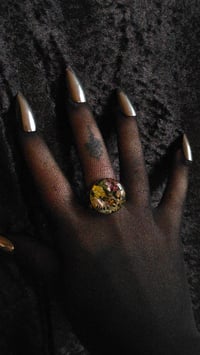 Image 3 of Ladybird scene brass jumbo ring