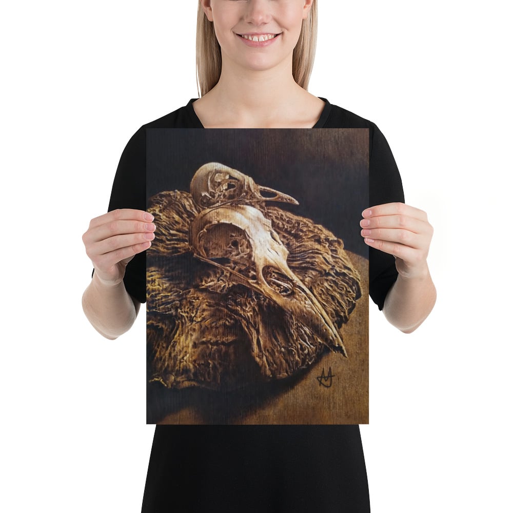 Photo Print: Bird Skulls