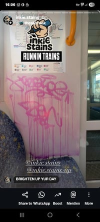 Image 2 of Speed stick green 15mm mop