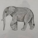Image 2 of £50 originals - Elephant watercolour