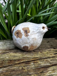 Image 3 of GROUP CLASS / MAY (11th) : Hand built Birds, 2hrs