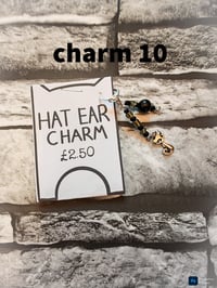 Image 19 of Ed's hats and charms