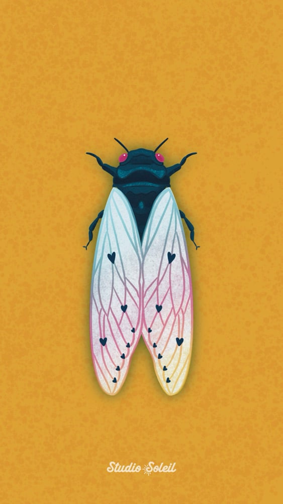 Image of Cicada 4x6 print