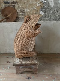 Image 2 of La corbeille grenouille Olivier Cajan