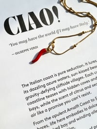 Image 1 of CHILLI PENDANT NECKLACE 