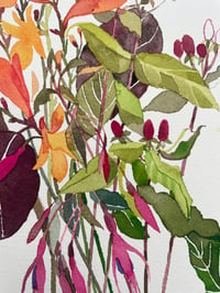 Image 3 of Crocusmia and fuchsia original unframed gouache and watercolour