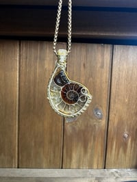Image 4 of Ammonite (Gold)