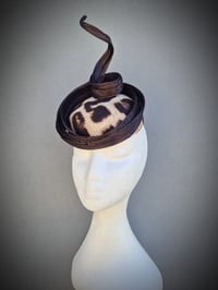 Image 3 of 'Coco' in chocolate 