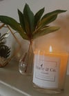 Marie & Co. Signature Candles ”Best Seller”