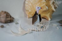 Image 5 of Vulture Mermaid