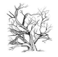 Image 2 of ‘Gnarly Trees’ Illustration