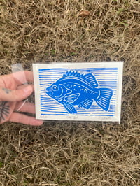 Limited Bluegill Linocut Print