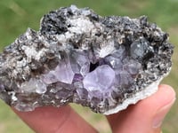Image 6 of Australian Smoky Quartz & Amethyst Specimen #2614
