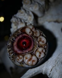 Image 13 of Old BoneTeratoma Swappable Phone Grip/Socket for smartphones