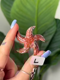 Image 12 of CHOOSE YOUR OWN MINI SOAPSTONE STARFISH